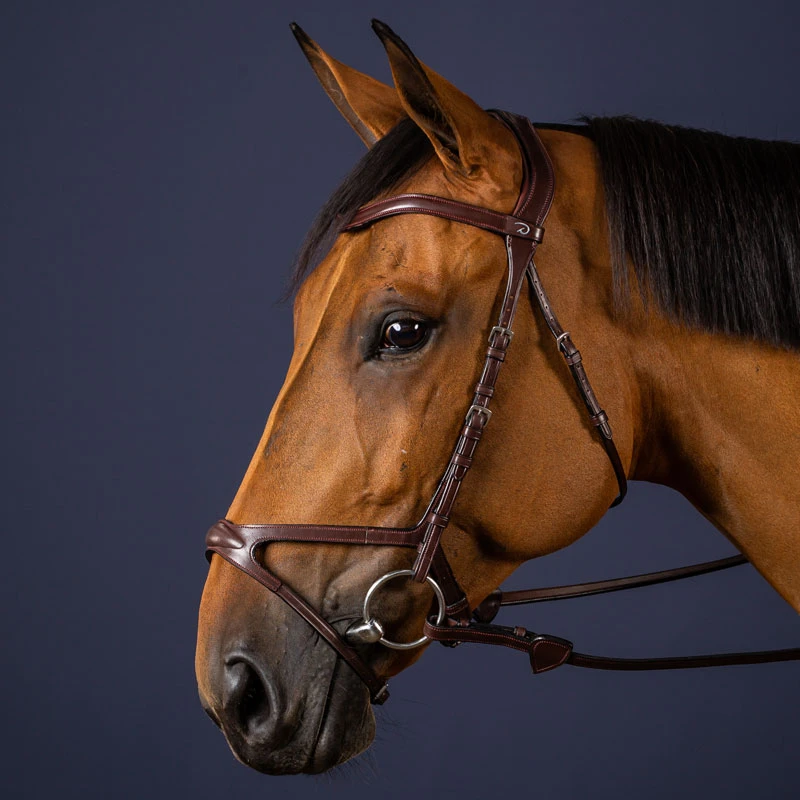 Dy'on New English Collection X-Fit Anatomic Bridle UK | Just Equine 3 Dy'on New English Collection X-Fit Anatomic Bridle UK | Just Equine - Image 3