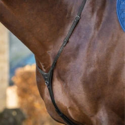 Dy'on New English Collection Yoke Martingale UK | Just Equine 5 Dy'on New English Collection Yoke Martingale UK | Just Equine -Horse Haven Shop Dyon New English Collection Yoke Martingale Black 1
