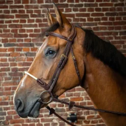 Dy'on Collection Rope Noseband Bridle UK | Just Equine