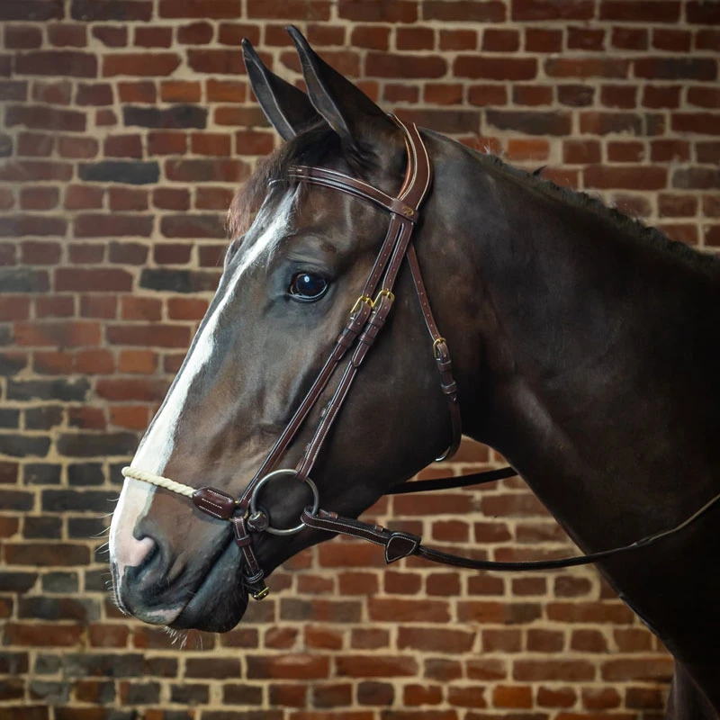 Dy'on Collection Rope Drop Noseband Bridle UK | Just Equine 1 Dy'on Collection Rope Drop Noseband Bridle UK | Just Equine
