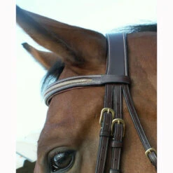 Dy'on Collection “Snake” Flash Noseband Bridle UK | Just Equine 6 Dy'on Collection “Snake” Flash Noseband Bridle UK | Just Equine -Horse Haven Shop Dyon Snake Skin Bridle 1