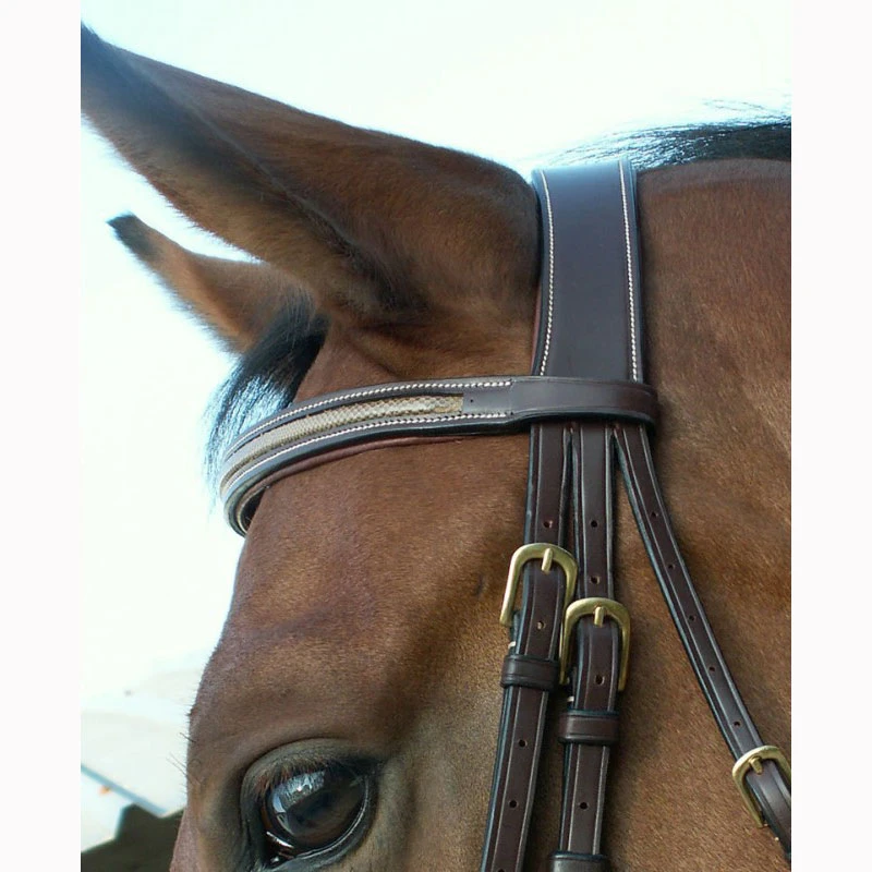 Dy'on Collection “Snake” Flash Noseband Bridle UK | Just Equine 3 Dy'on Collection “Snake” Flash Noseband Bridle UK | Just Equine - Image 3
