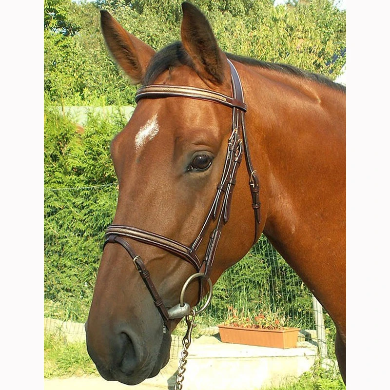 Dy'on Collection “Snake” Flash Noseband Bridle UK | Just Equine 2 Dy'on Collection “Snake” Flash Noseband Bridle UK | Just Equine - Image 2