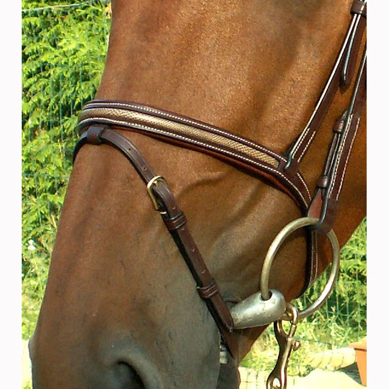 Dy'on Collection “Snake” Flash Noseband Bridle UK | Just Equine 1 Dy'on Collection “Snake” Flash Noseband Bridle UK | Just Equine