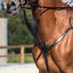Dy’on Collection Soft Bib Martingale Attachment UK | Just Equine