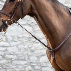 Dy’on Collection Standing Martingale Attachment UK | Just Equine