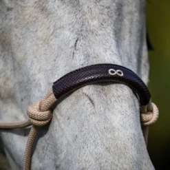 Horse Haven Shop -Horse Haven Shop Dyon Training Head Collar Noseband