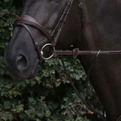 Dy'on US Collection 1/2 Inch Rubber Reins UK | Just Equine