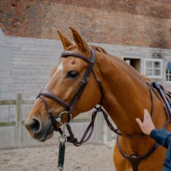 Dy'on US Collection Anatomic Flash Noseband Bridle UK | Just Equine