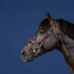 Dy'on US Collection Anatomic Flash Noseband Bridle UK | Just Equine 7 Dy'on US Collection Anatomic Flash Noseband Bridle UK | Just Equine -Horse Haven Shop Dyon US Collection Anatomic Flash Noseband Bridle Brown 1