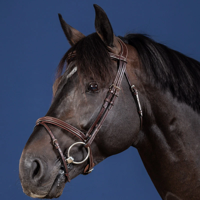 Dy'on US Collection Flash Noseband Bridle UK | Just Equine 1 Dy'on US Collection Flash Noseband Bridle UK | Just Equine