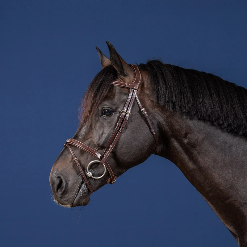 Dy'on US Collection Flash Noseband Bridle UK | Just Equine 2 Dy'on US Collection Flash Noseband Bridle UK | Just Equine - Image 2