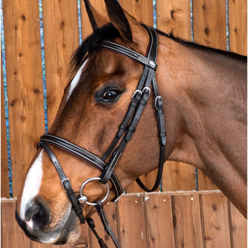 Dy'on Working Collection Classic Flash Noseband Bridle UK | Just Equine 1 Dy'on Working Collection Classic Flash Noseband Bridle UK | Just Equine