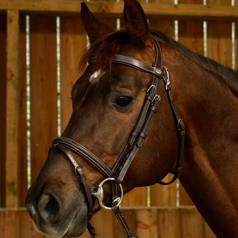 Dy'on Working Collection Fancy Flash Bridle UK | Just Equine 2 Dy'on Working Collection Fancy Flash Bridle UK | Just Equine - Image 2