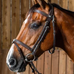 Dy'on Working Collection Fancy Flash Bridle UK | Just Equine