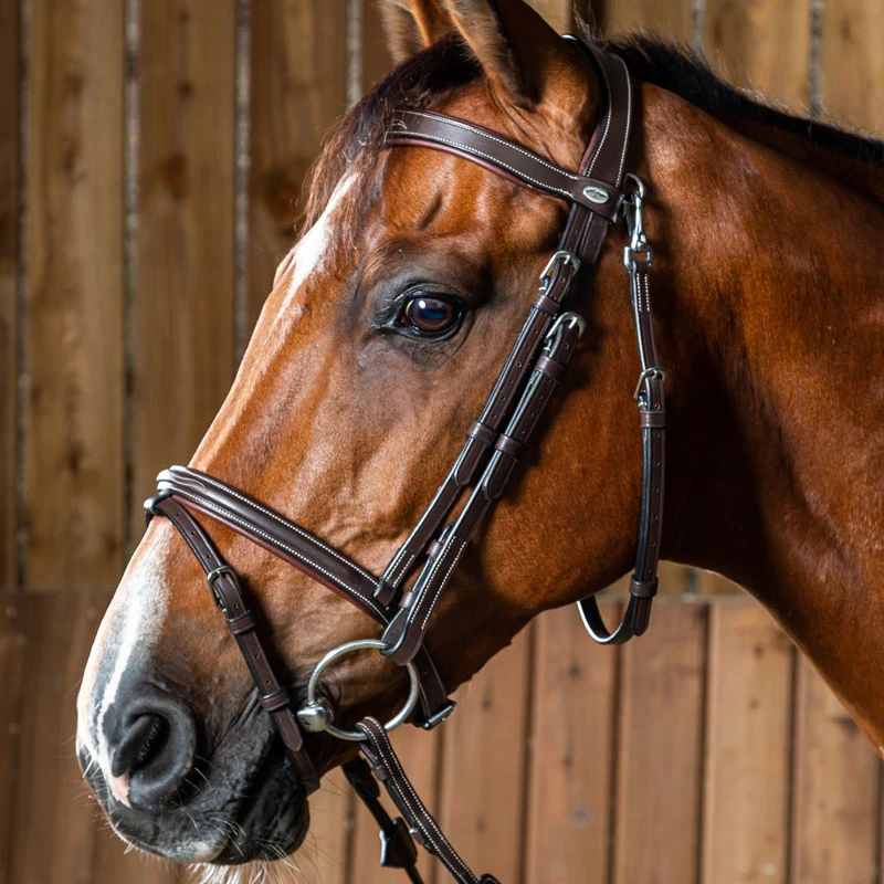 Dy'on Working Collection Fancy Flash Bridle UK | Just Equine 1 Dy'on Working Collection Fancy Flash Bridle UK | Just Equine