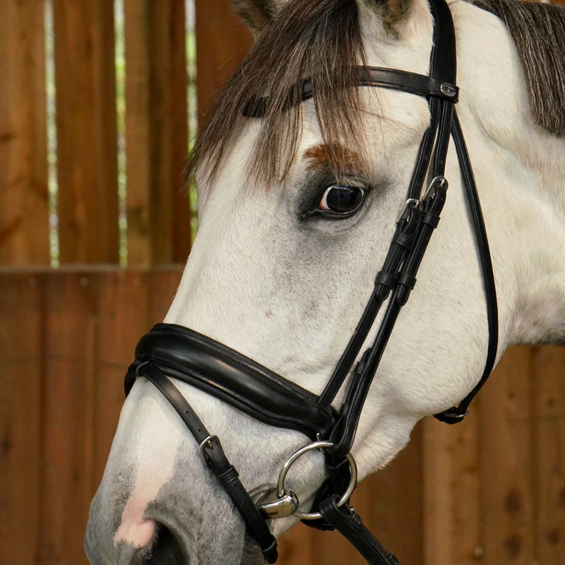Dy’on Working Collection Matte Large Crank Noseband With Flash UK | Just Equine 3 Dy’on Working Collection Matte Large Crank Noseband With Flash UK | Just Equine - Image 3