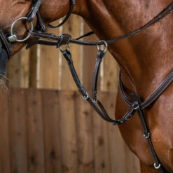Dy'on Working Collection Running Martingale Attachment UK | Just Equine
