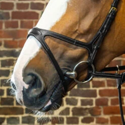 Dy’on Collection X Fit Noseband UK | Just Equine -Horse Haven Shop Dyon X Fit Noseband ONLY Black 1