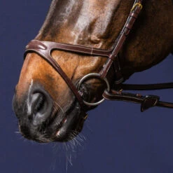 Dy’on Collection X Fit Noseband UK | Just Equine