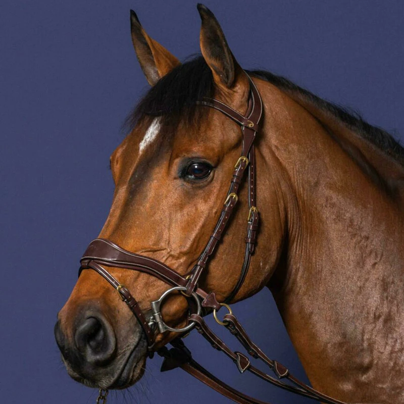 Dy'on Collection D Motion Bridle UK | Just Equine 1 Dy'on Collection D Motion Bridle UK | Just Equine