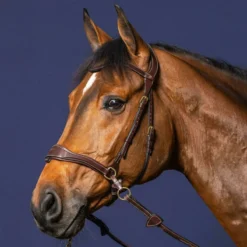 Dy'on Collection D Motion Bridle UK | Just Equine 7 Dy'on Collection D Motion Bridle UK | Just Equine -Horse Haven Shop Dyon collection D Motion Bridle 2