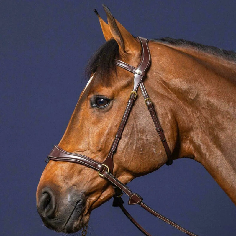 Dy'on Collection D Motion Bridle UK | Just Equine 4 Dy'on Collection D Motion Bridle UK | Just Equine - Image 4