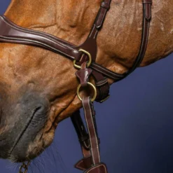 Dy'on Collection D Motion Bridle UK | Just Equine 9 Dy'on Collection D Motion Bridle UK | Just Equine -Horse Haven Shop Dyon collection D Motion Bridle 4