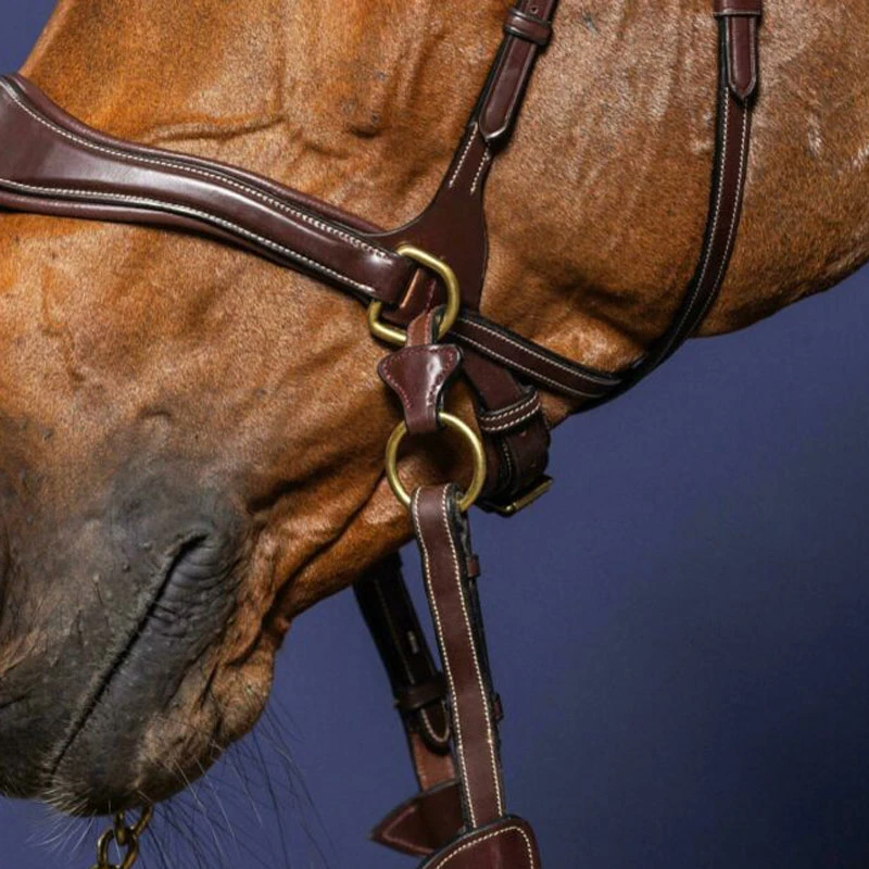 Dy'on Collection D Motion Bridle UK | Just Equine 5 Dy'on Collection D Motion Bridle UK | Just Equine - Image 5