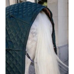 Kentucky Horsewear Stable Rug - Pine Green UK | Just Equine -Horse Haven Shop EFB29926 4C85 4361 86AD 2670C51977E8