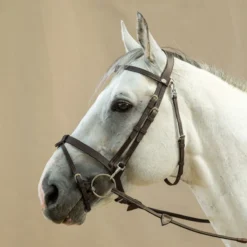 Dy’on Working Collection Flat Leather Bridle With Clips UK | Just Equine