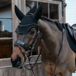 Kentucky Horsewear Fly Veil Wellington Glitter UK | Just Equine -Horse Haven Shop Fly Veil Glitter 6