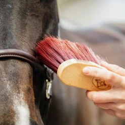Grooming Deluxe Middle Brush Long UK | Just Equine