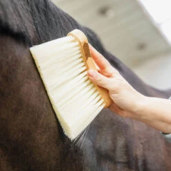 Grooming Deluxe Middle Brush Long UK | Just Equine 19 Grooming Deluxe Middle Brush Long UK | Just Equine -Horse Haven Shop Grooming Deluxe Middle Brush Long Natural 1