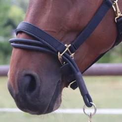 Ezyloader Headcollar Adaptor UK | Just Equine