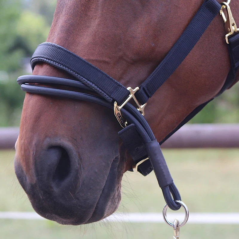 Ezyloader Headcollar Adaptor UK | Just Equine 1 Ezyloader Headcollar Adaptor UK | Just Equine