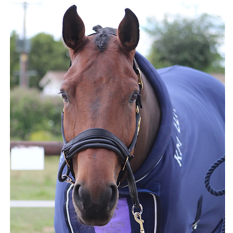 Ezyloader Headcollar Adaptor UK | Just Equine 2 Ezyloader Headcollar Adaptor UK | Just Equine - Image 2