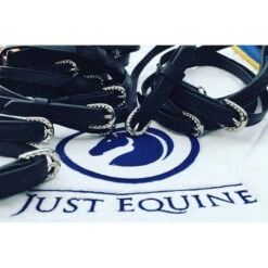 Leather Spur Straps Diamante Buckles UK | Just Equine