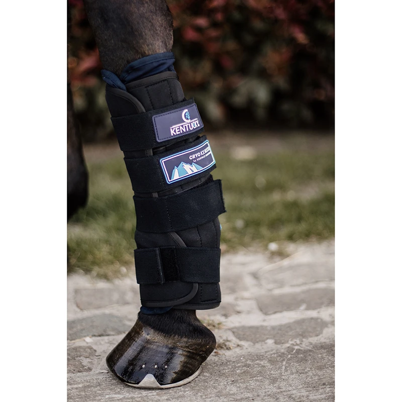 Kentucky Horsewear Cryo Ice Boots UK | Just Equine 3 Kentucky Horsewear Cryo Ice Boots UK | Just Equine - Image 3