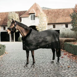 Kentucky Horsewear Show Rug - Black Black UK | Just Equine