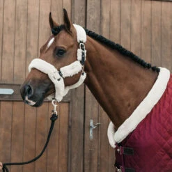Kentucky Horsewear Bordeaux Show Rug UK | Just Equine -Horse Haven Shop Kentucky Horsewear Bordeaux Show Rug 1