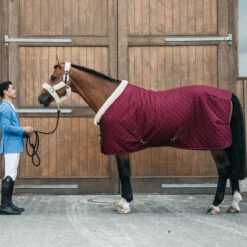Kentucky Horsewear Bordeaux Show Rug UK | Just Equine