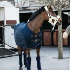 Kentucky Horsewear Mesh Combo Cooler Sheet UK | Just Equine 12 Kentucky Horsewear Mesh Combo Cooler Sheet UK | Just Equine -Horse Haven Shop Kentucky Horsewear Combo Cooler Sheet 1