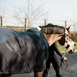 Kentucky Horsewear Mesh Combo Cooler Sheet UK | Just Equine 11 Kentucky Horsewear Mesh Combo Cooler Sheet UK | Just Equine -Horse Haven Shop Kentucky Horsewear Combo Cooler Sheet 2
