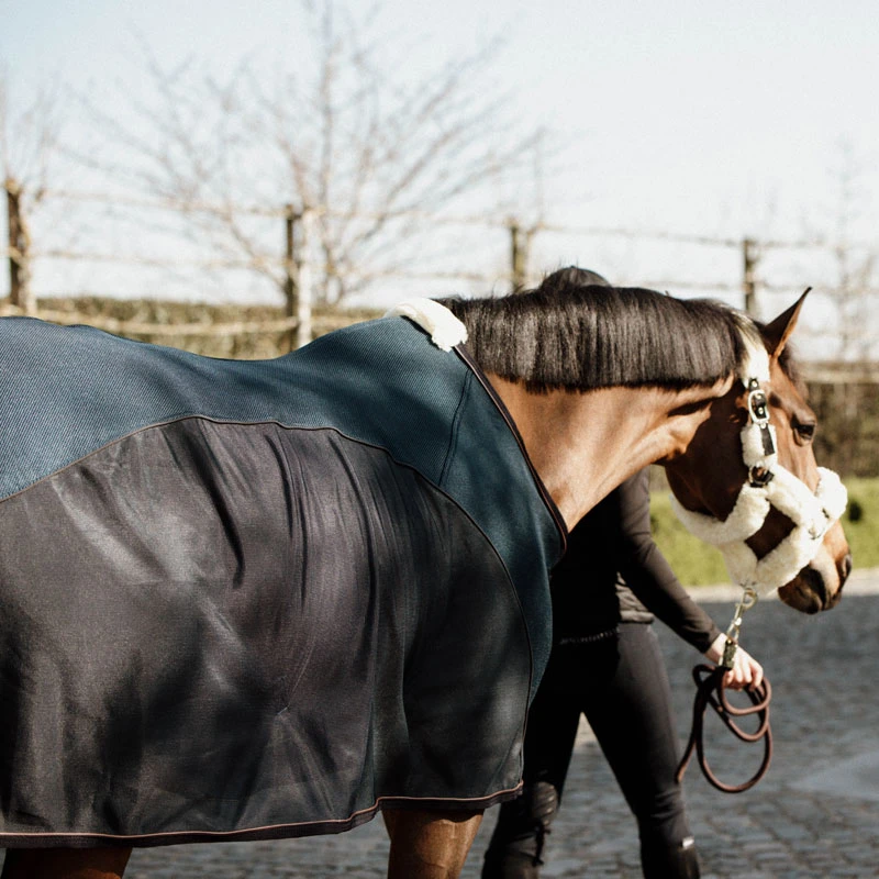 Kentucky Horsewear Mesh Combo Cooler Sheet UK | Just Equine 5 Kentucky Horsewear Mesh Combo Cooler Sheet UK | Just Equine - Image 5