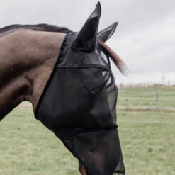 Kentucky Horsewear Fly Mask Classic With Ears And Nose UK | Just Equine 11 Kentucky Horsewear Fly Mask Classic With Ears And Nose UK | Just Equine -Horse Haven Shop Kentucky Horsewear Fly Mask Classic With Ears and Nose Black 2