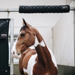 Kentucky Horsewear Stable Head Protector - Black UK | Just Equine