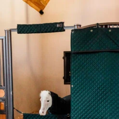 Kentucky Horsewear Stable Head Protector - Dark Green UK | Just Equine