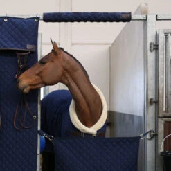 Kentucky Horsewear Stable Head Protector - Navy UK | Just Equine