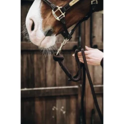 Kentucky Horsewear Lead Rope Loop UK | Just Equine 9 Kentucky Horsewear Lead Rope Loop UK | Just Equine -Horse Haven Shop Kentucky Horsewear Lead Rope Loop 2